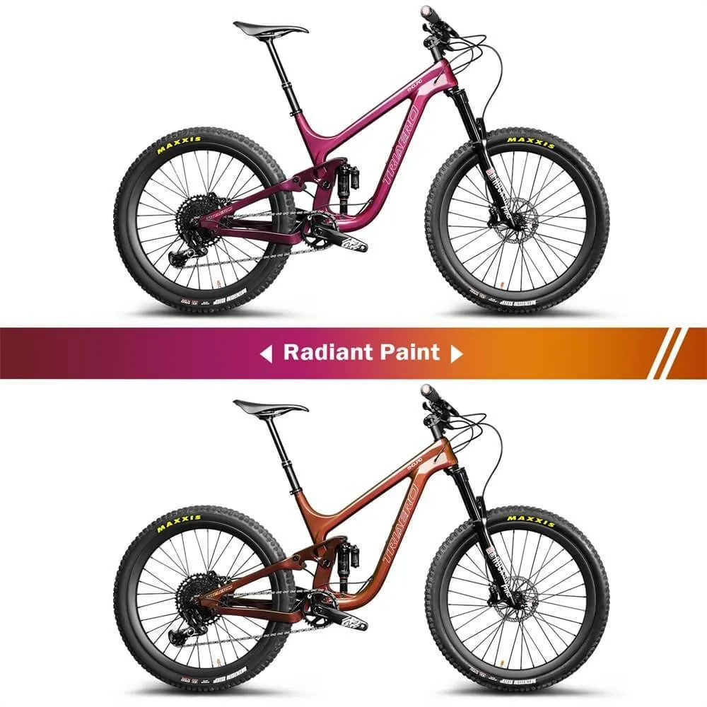 Enduro Bike P9