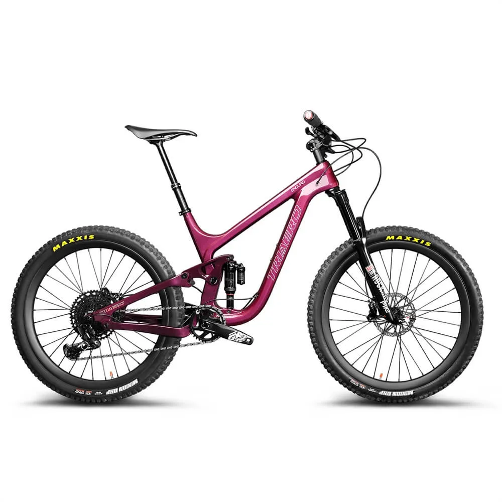 Enduro Bike P9