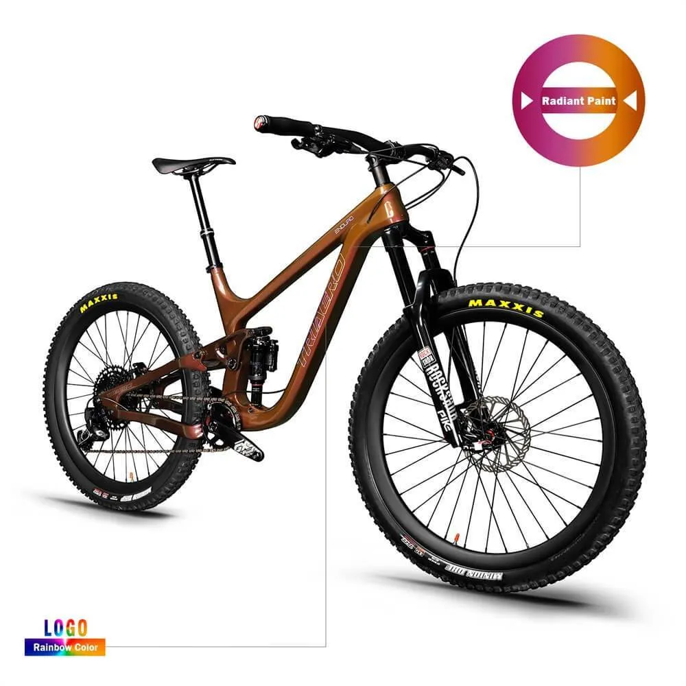 Enduro Bike P9