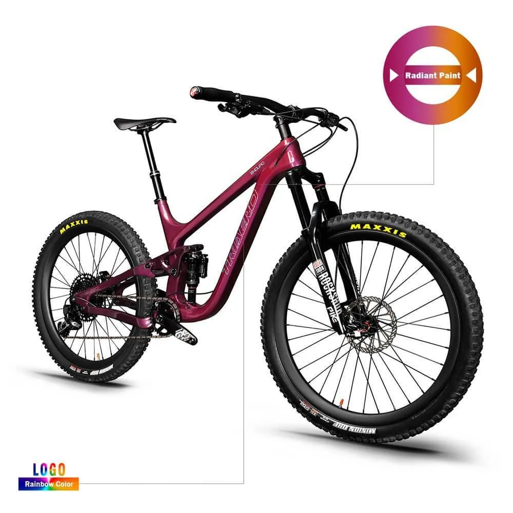 Enduro Bike P9