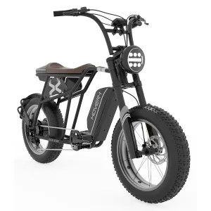H-1™ Pro Series Altai R500 E-Bike
