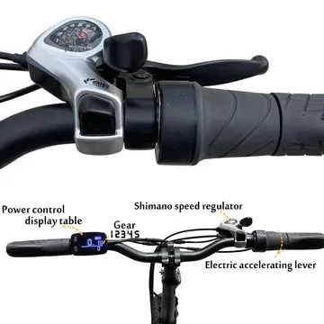 Tracer Coyote 20 Inch 500W Foldable Electric Bike