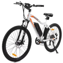 UL Certified-Ecotric Leopard Electric Mountain Bike